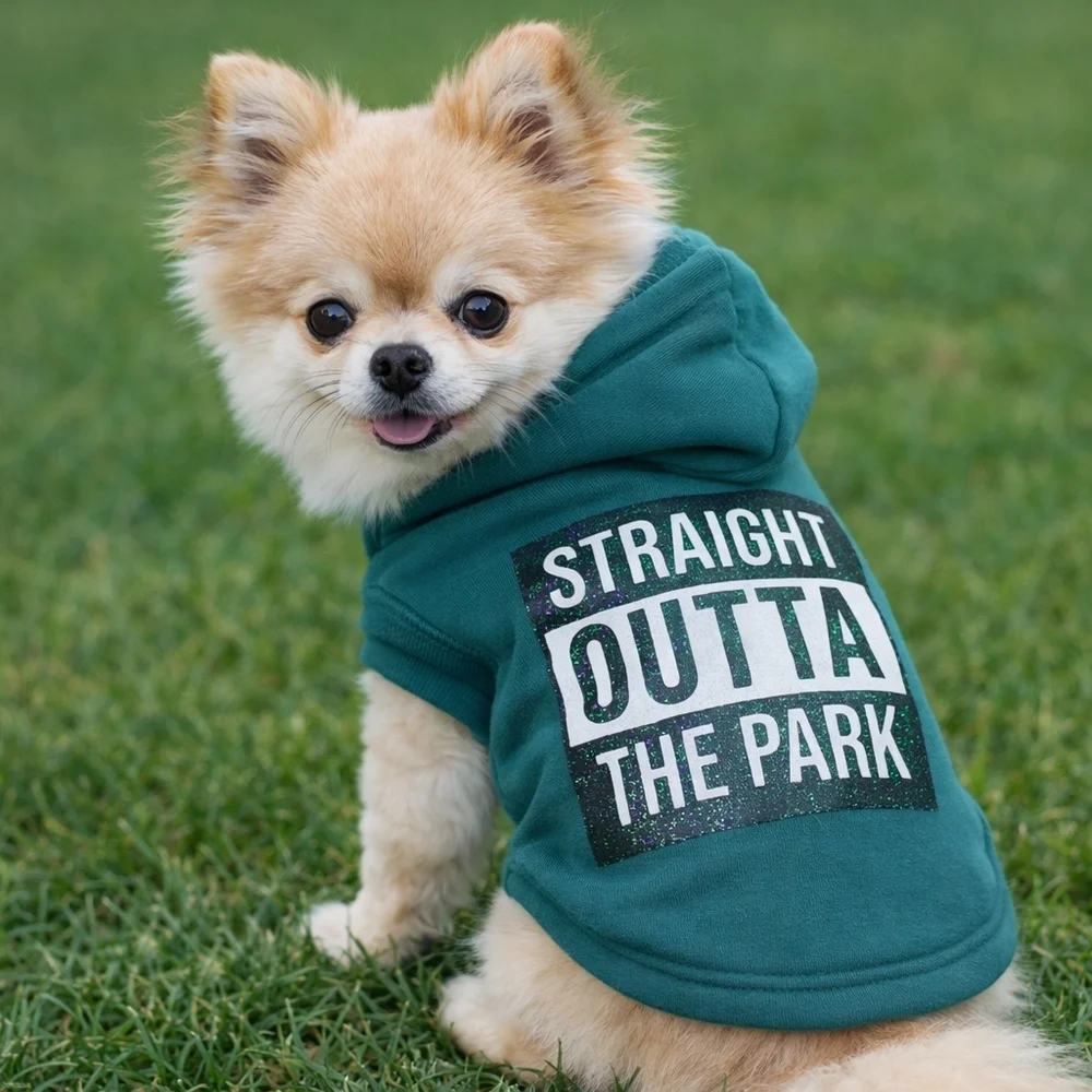 Brooklyn Pet Gear “Straight Outta the Park” Dog Hoodie Shirt Teal Size Med NWT